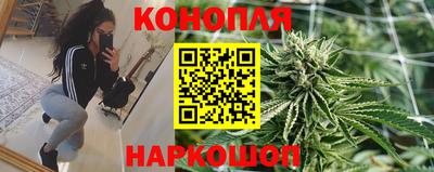 ПСИЛОЦИБИНОВЫЕ ГРИБЫ Берёзовский