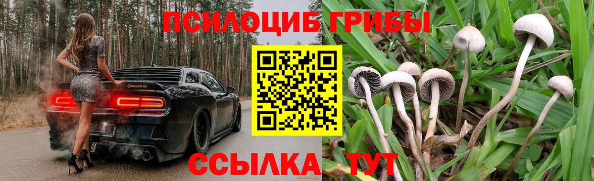 Псилоцибиновые грибы мухоморы Родники
