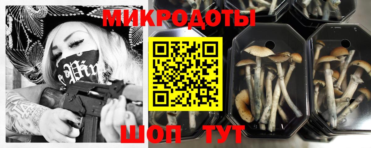 Галлюциногенные грибы прущие грибы Родники