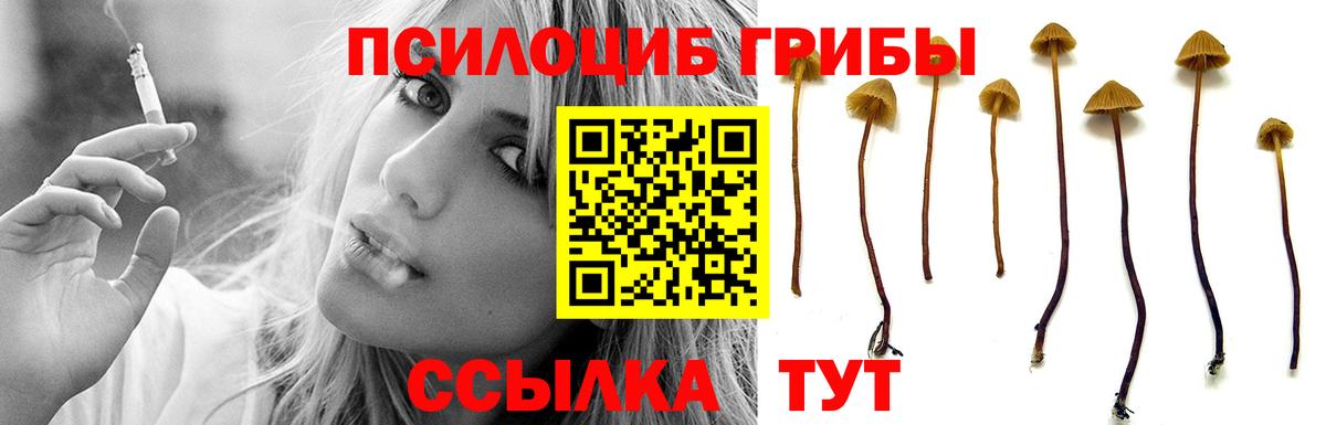 Галлюциногенные грибы GOLDEN TEACHER  Вход с VPN  Родники 